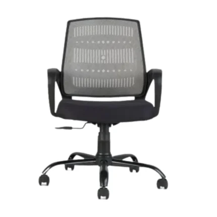 Medium Back Mesh Ergonomic Office Chair